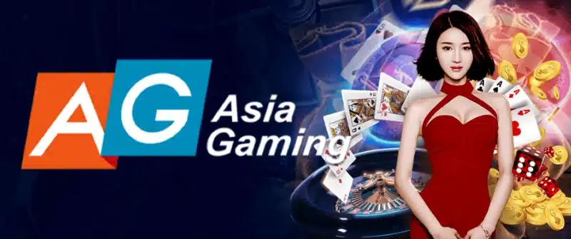 Asia Gaming, known as a Live Casino provider, was founded in 2012